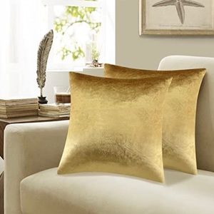Gold Velvet Soft Pillow Covers,Set of 2